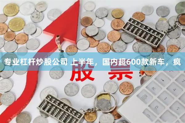 专业杠杆炒股公司 上半年，国内超600款新车，疯